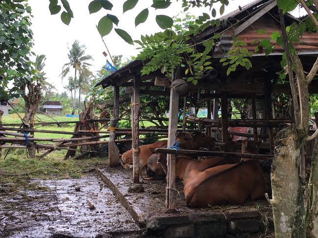 雨足は強まり・・・