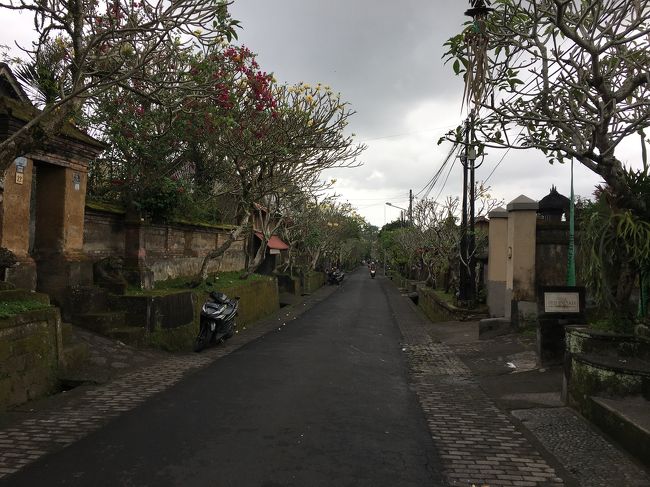 ニュークニン村へ<br />今日のお散歩は「バリ島ウブド 楽園の散歩道」の3番のコース、カティランタン村を一周してみようと思います！