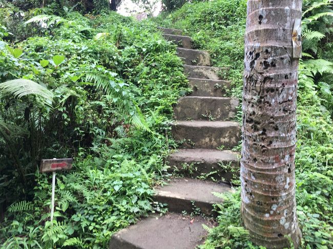 田園地帯が広がる道に続く階段<br />これは本にも載ってるからやっぱり道はあってたんだと思うんだけど・・・