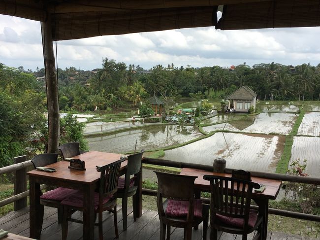 下の席はすべて予約席になっていたので上の席で