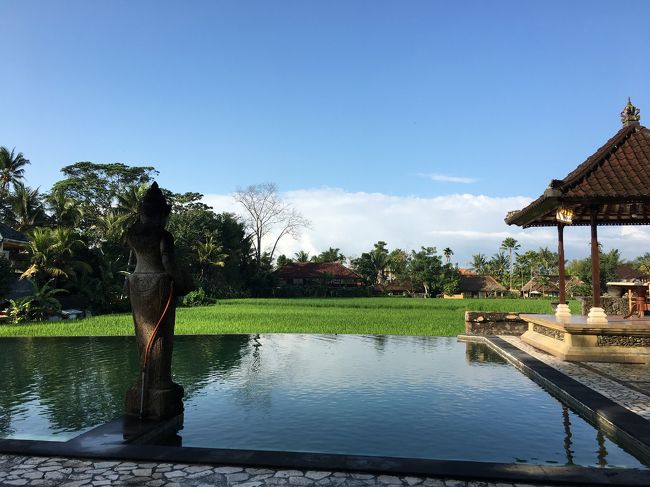 今日は朝から陽が射す時間がたまにあってきれいな景色が見られました