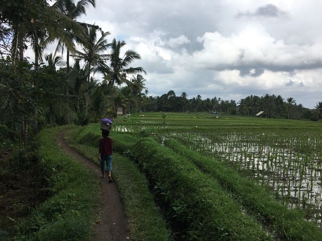 ここまで来て一安心・・・