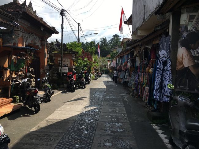 昨日と違ってお天気も良くて気持ちいいね！