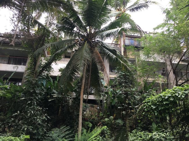 見上げるとホテル？が<br />人いるのかなぁ・・・？