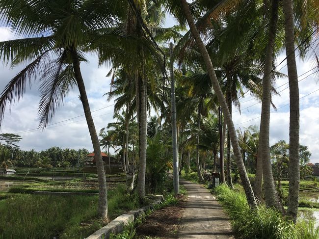 いい感じの景色になってきました～