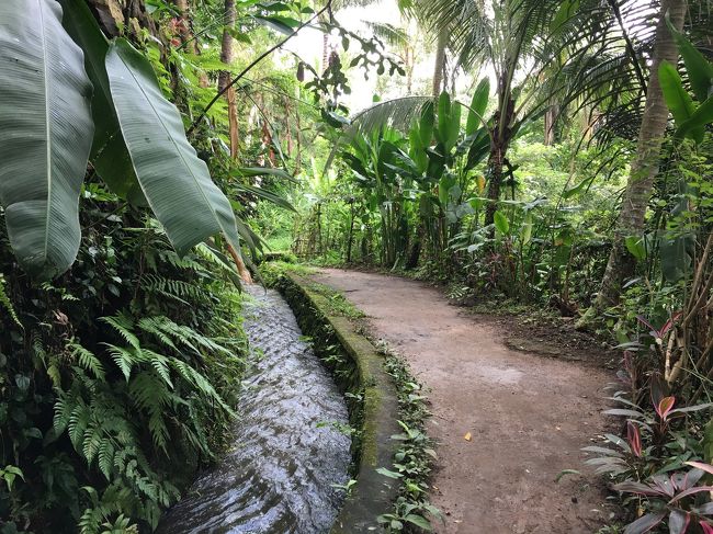 なんとか用水路の危険ゾーンを通過！