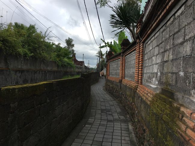 下まで戻ってきました～