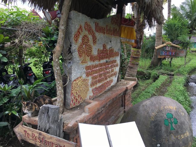 サリオーガニックで休憩<br />反対側から来たの初めて(^^)v