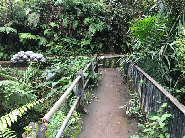 折り返しの小さい橋<br />