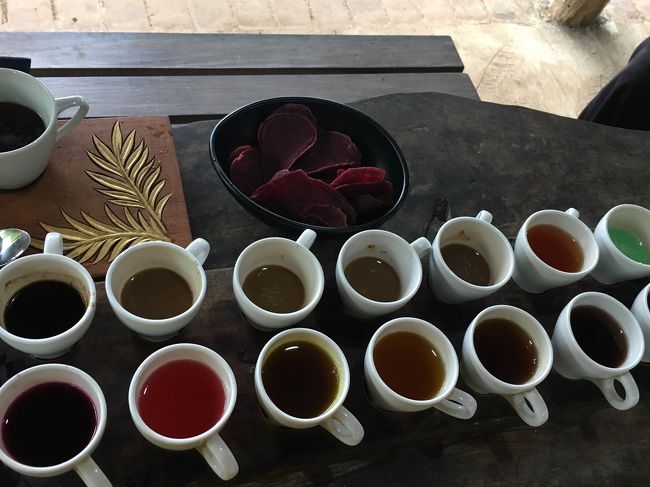 その間試飲のコーヒーを出してくれたので色々と飲み比べ<br />タダでいただけるなんて太っ腹ね～<br />せっかくなのでジャコウネコのコーヒー(こちらは有料で約500円)もいただいてみましたが、普通のコーヒーに感じました 笑<br />まぁ違いの分からない女なので^_^;<br />