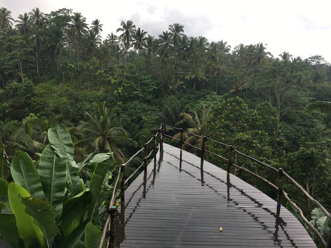 そうこうしてるうちに雨がやんできました！