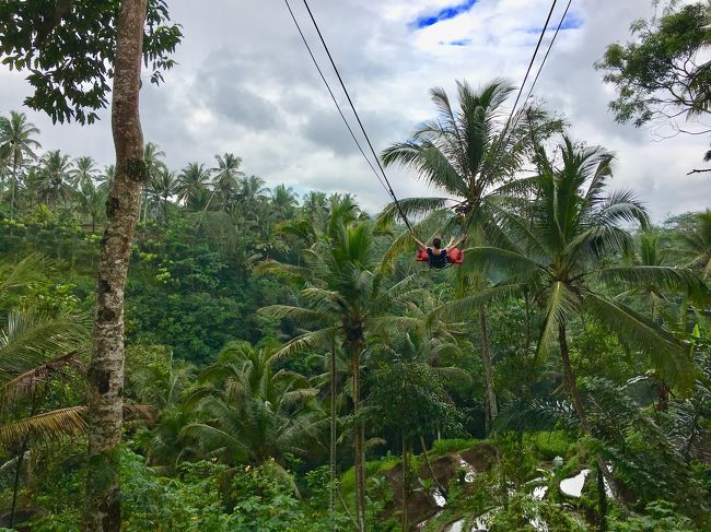 おぉ～インスタ映え～～(やってないけど笑)<br />向こう向きで10回、こっち向きで10回カウントして交代<br />最初は緊張してたけど、すぐに慣れて手放しで乗ってるし楽しそう！