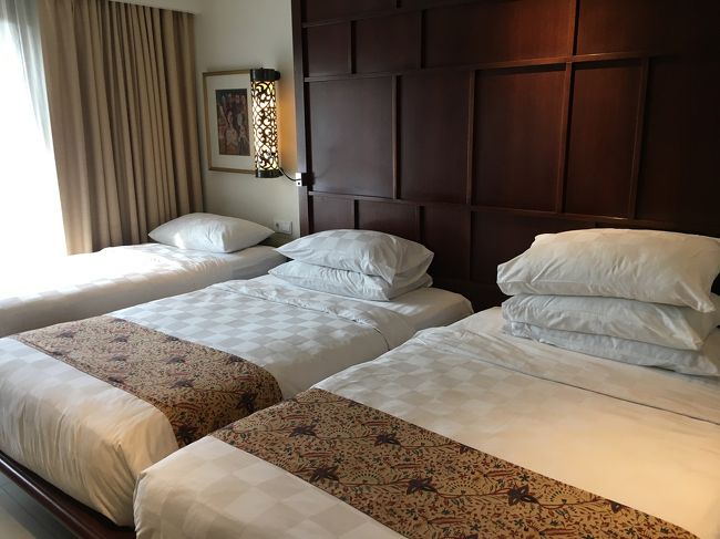 エキストラベッドが入ってお部屋は狭め～<br />ベッド2台あれば全然添い寝でOKなんだけど、年齢的にもうNGなんだよね～(>_<)<br />お金掛かるわ～笑