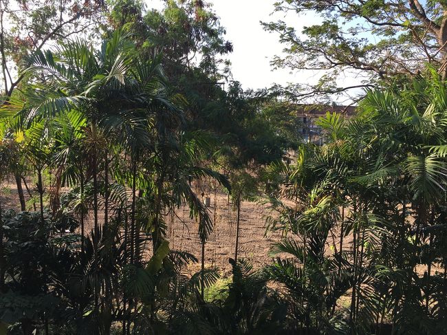 窓の外は残念ビュー