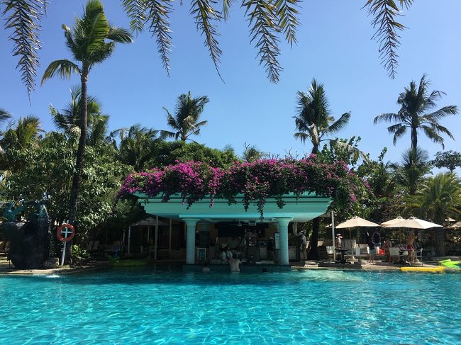 午後もプールでまったりと