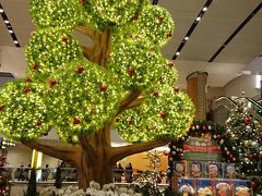 巨大空港にもクリスマスツリーは有ります