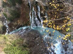 白金温泉バス停から2-3分のところにある、白ひげの滝。
ここの水も青です。