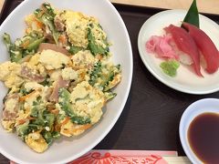 ちょこっとお寿司(石垣島産キハダマグロ)とゴーヤーチャンプルー。

家庭の味っぽくて美味しかった(∩^～^∩)。