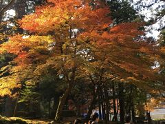 3日目金沢市内のホテルを出て向かったのは永平寺。
ここも紅葉が綺麗で、観光客で沢山。