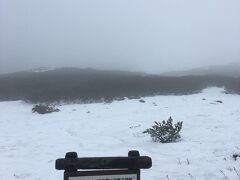 ロープウェイを降車すると、そこは薄暗く雪に覆われた別世界でした。
たった１０分間で標高1100メートルから1600メートルに移動してしまったのです！
アナウンスでは、「無理な登山はやめましょう」としきりに流れていました。
私は登山をするつもりは毛頭なく、トレッキング感覚で来たのです。
でも、そもそもそれが間違いでした。11月はとても軽装で臨める山ではありません。
無謀にも、せっかく来たからには行けるところまで行こう、と進みだすのですが雪道に慣れていない静岡県民、アイスバーンの道にも新雪にも戸惑うばかりで前に進みません。
元々小心者の私は第３展望台に着く前に心折れ、引き返すことを決意したのです。