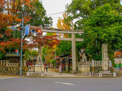 食後に歩いて秩父神社へ。
西武秩父駅から15分位です。

こちらも色付いていましたよー！

主祭神
八意思兼命
知知夫彦命
天之御中主神
秩父宮雍仁親王