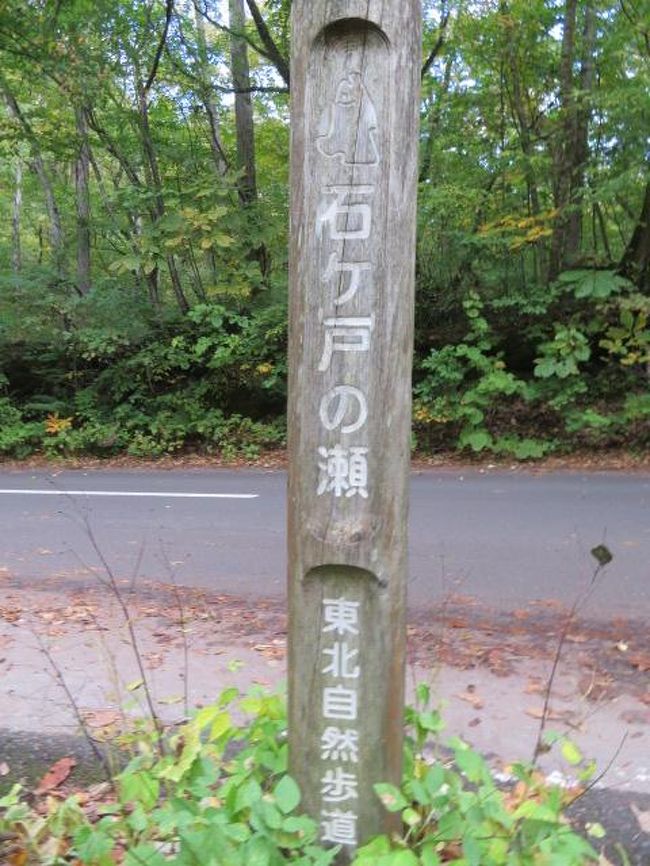 奥入瀬渓流の眺めを楽しみながら石ヶ戸から子ノ口まで歩きました 奥入瀬 十和田湖 青森県 の旅行記 ブログ By タビガラスさん フォートラベル
