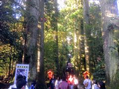 ボートを楽しんだ後、箱根神社本宮にお参りします。

巨大な杉の木が神秘的です。