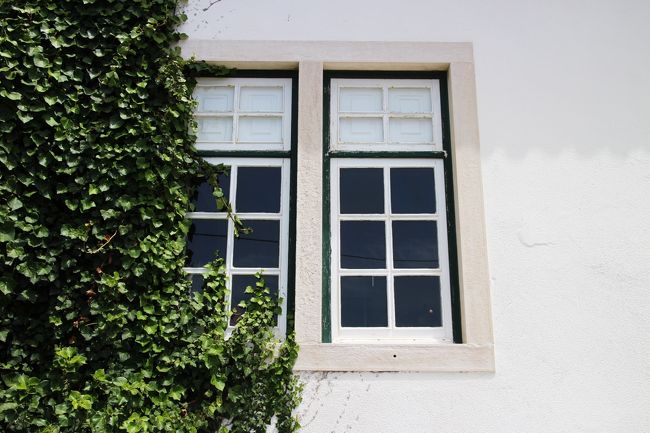 ショップの窓がかわいかった。