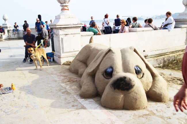 テージョ川で見かけた可愛い風景。