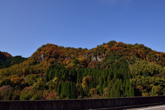 日出生台ダム上流の国道