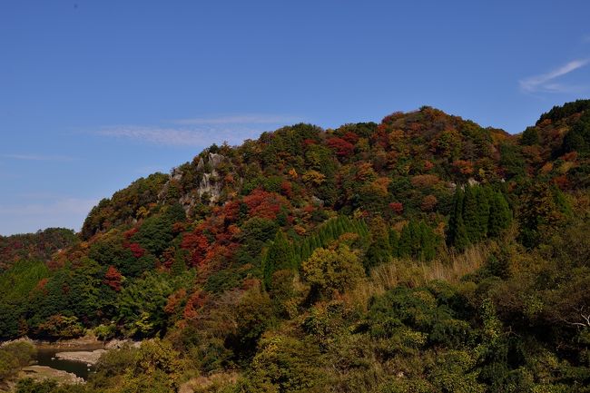 日出生台の紅葉