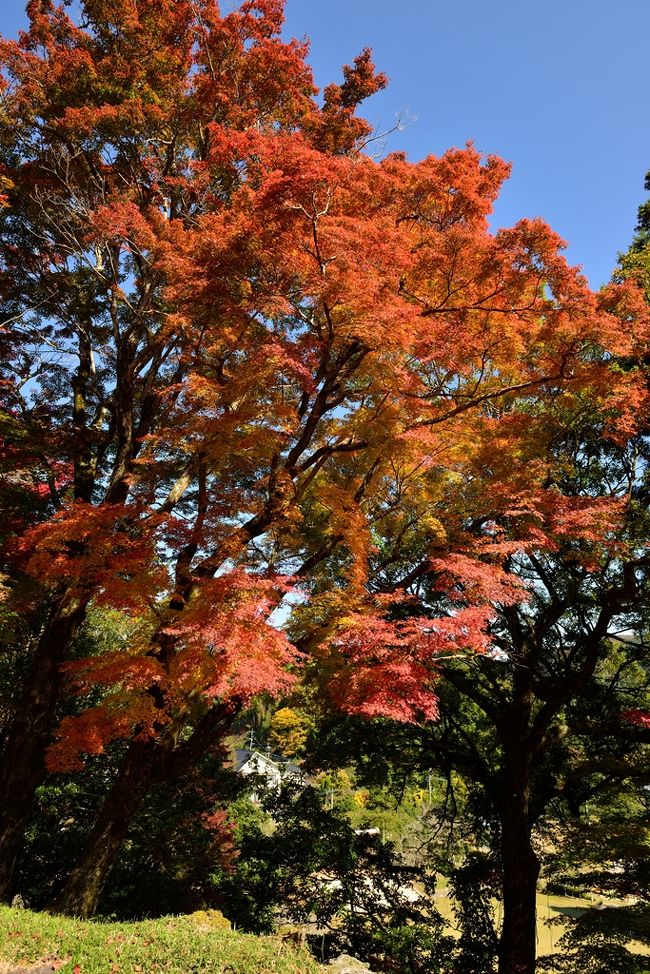 童話の里くすです。