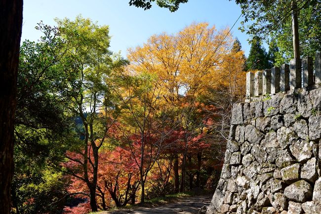 末廣神社の紅葉