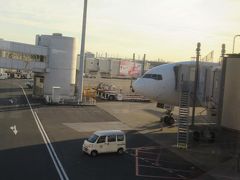 順調なフライトで定刻より少し早めの羽田空港への到着でした。