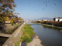 烏丸通りから清水五条を経て鴨川沿いのサイクリングロードへ。
ギュンギュン進む感じが爽快！
