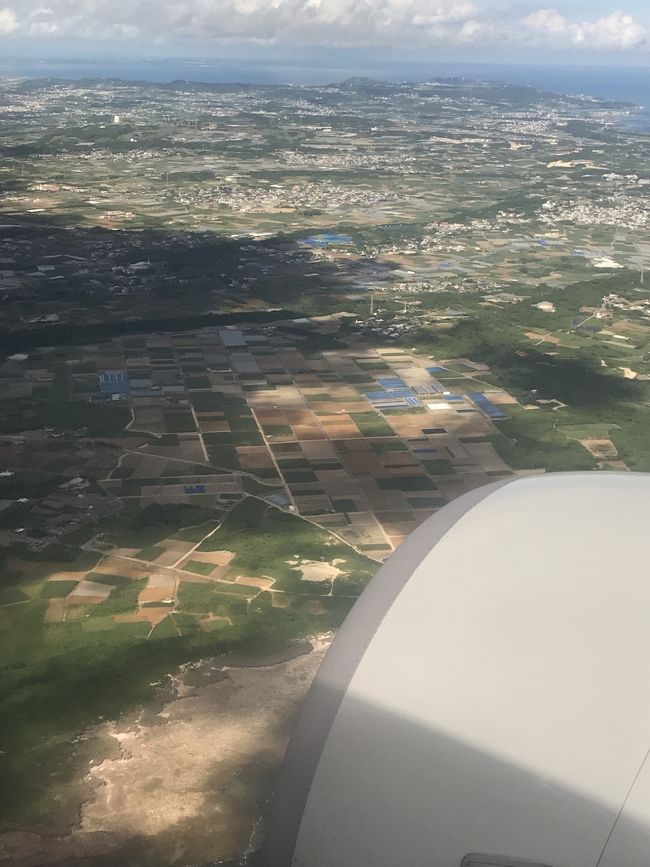 東南アジアの風景と似てますね。