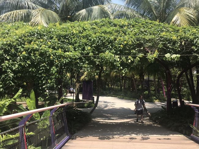 不思議の国に入り込んでいくようで、この場所大好きです！<br />でも暑いのが難点。