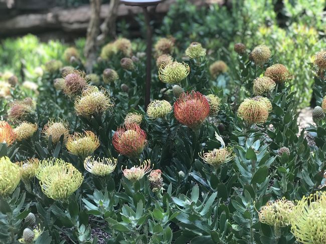 初めて来ましたが、素敵です！<br />また行きたいです。