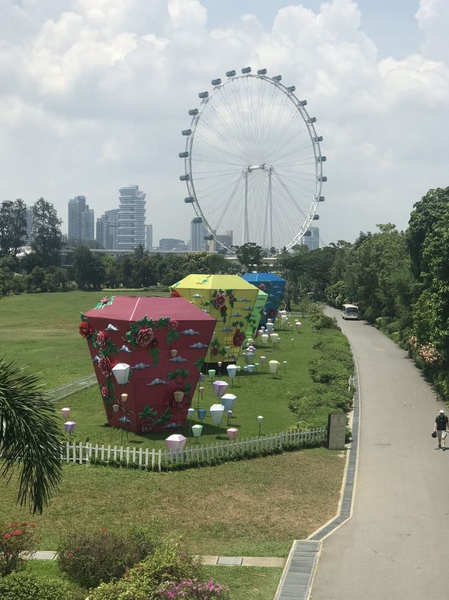 今回は前回行けなかったフラワードームとクラウドフォレストに行く！<br />でもこの日はクラウドフォレストが休館。<br />残念でした。