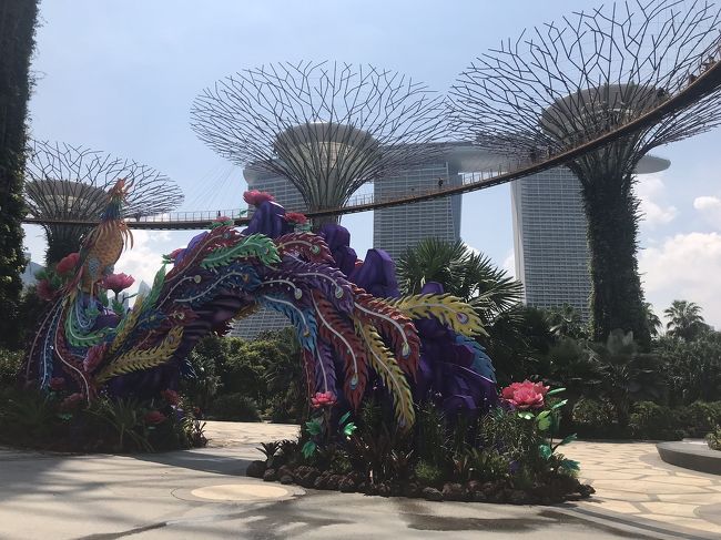 ここに来ると毎週ここに来れたらって思ってしまうほど、わたしはこの感じが好きです。