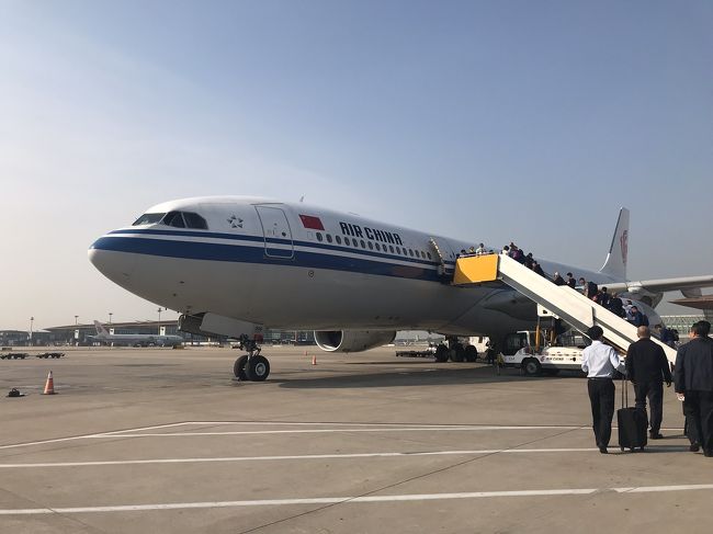 CA925<br />北京から成田へ。<br />成田到着後、成田エキスプレスで東京駅へ向かおうと思っていましたが、すぐの便は満席。<br />鈍行電車で東京駅まで行くことに。<br />静岡に着くまでにどっぷり疲れて、でも仕事があるのでそのままオフィスへ向かいました。(*_*)