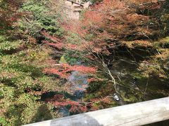 毎日毎日紅葉ばかり見て、当分紅葉は見なくても良いかと。
こおろぎ橋から撮影した写真です。