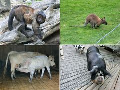 ウィローバンク野生動物保護区