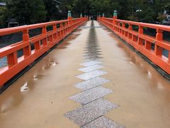 朝霧橋