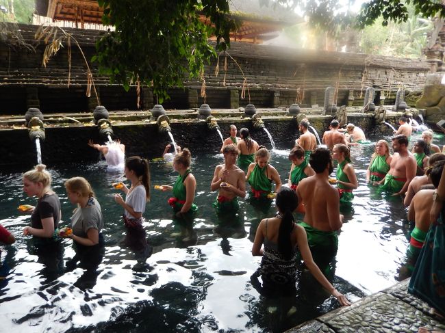 <br />　二日目は、ウイディの車でウブドへ。<br /><br />　ティルタウンプル。白人の方達が沢山沐浴してた。<br /><br />　我々は見学のみ。