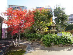 向かいは歌舞伎座
屋上と地下のお店は入場無料
紅葉もちょっぴり残ってました。
