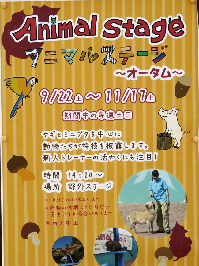 秋の埼玉こども動物自然公園で赤ちゃん詣 前編 ほんのり紅葉と動物園 アニマルアートの動物かるたや動物園いろいろ 少しだけ紅葉と動物写真にもチャレンジ 東松山 埼玉県 の旅行記 ブログ By まみさん フォートラベル 秋の埼玉こども動物自然公園で赤ちゃん詣 前編 ほんのり紅葉と動物園 アニマルアートの動物かるたや動物園いろいろ 少しだけ紅葉と動物写真にもチャレンジ 東松山 埼玉県 の旅行記 ブログ By まみさん フォートラベル