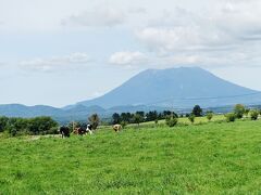 羊蹄山の山麓の牧場。