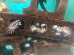 桂浜水族館