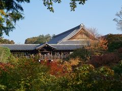 JR東福寺隣の　泉涌寺雲竜院を目指します

東福寺通天橋が見える橋　臥雲橋
ここはお寺の中ではないので無料です

この辺は写真撮る人で大混雑　真っ赤になるまではまだ少し後でしょうか

新緑の頃もきれいでしょうね